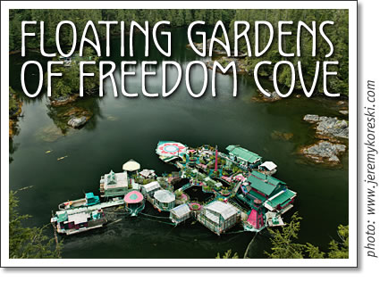 the floating gardens of freedom cove near tofino