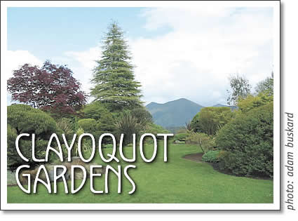 view of the gardens at clayoquot island