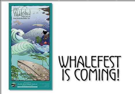 whale fest is coming!
